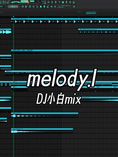 DJ小白's Live FL Studio Mix - Melody.1