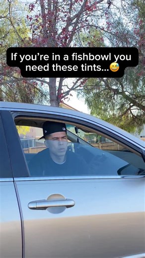 ShadeX | Shops overpriced tbh 😭 #car #tint #fishbowl | Instagram