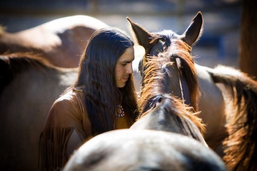 Horses part of Indigenous cultures longer than Western historians thought