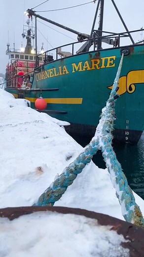 The Legend Continues with Captain Phil's Son | Corneliamaria Fishing