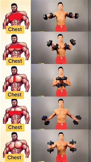 Chest workout with dumbbells #workout #bodybuilding #bodypowertraining #fitness