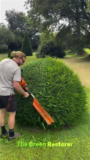 Edging | Cutting | Mowing | Trimming | Pressure Washing | Cleaning #shorts #satisfying #gardening