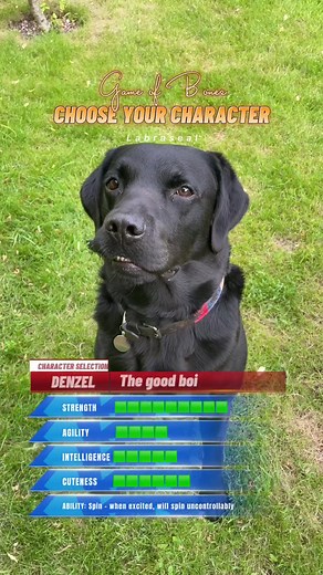 Game of Bones - character selection