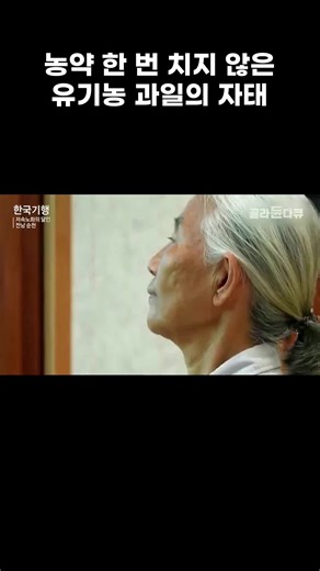 약 한 번 안친 유기농 과일들 #골라듄다큐