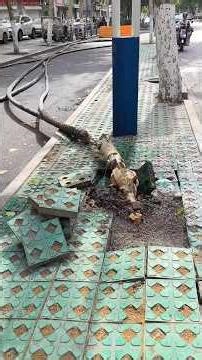 భూగర్భంలో పైపులైన్లు వేయాలంటే రోడ్లన్నీ తవ్వాల్సిందే అని మనమందరం అనుకుంటాం.