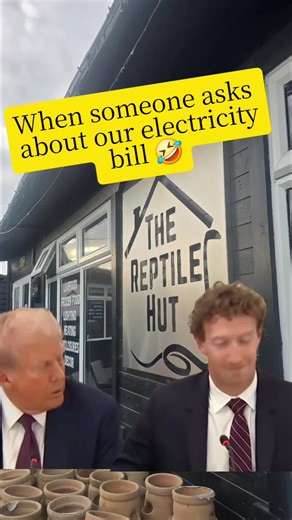 When someone asks us about our electric bill 🤣🤣 #fyp #reptilesoftiktok #reptiles #meme #foryoupage❤️❤️