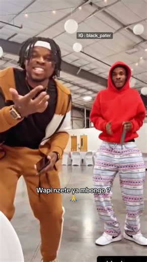 Fally Ipupa: Sans Amour Song Insights