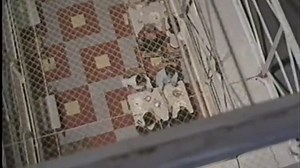 Man Alive - Women In Prison - 5 Jan 1972