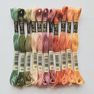 Hand Embroidery Floss Bundle, DMC Six-stranded Floss Skeins, Embroidery Threads Beginner Set, Cross Stitch Supplies, Bundle of the Month - Etsy