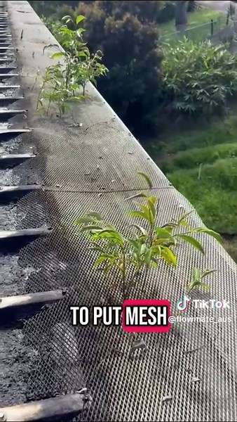 Gutter Guard Alternatives: Simplifying Home Maintenance