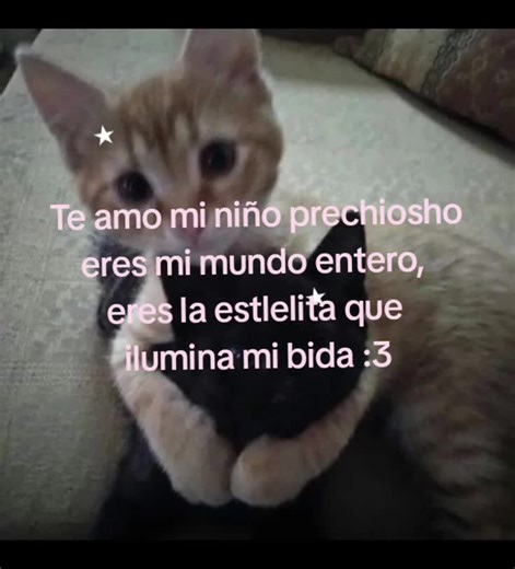Te Amo Mi Niño: Dedicaciones Románticas