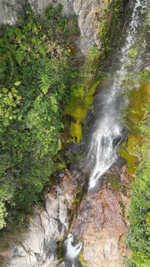 📍Conoce la Cascada del vino desde su parte alta, una vista majestuosa de los aproximadamente 90mts de caída de agua de este espectacular monumento natural ubicado en el Parque Nacional Dinira en el Edo. Lara. 😍⛰️ Cortesía: @glampinglacepa ➡➡ Síguenos en Telegram: https://t.me/laraenredes #LaraEnRedes #OrgullososDeSerGuaros #Lara #Venezuela #Barquisimeto #Cabudare #Carora #Quibor #ElTocuyo #Sanare #Siquisique #Sarare #Duaca #Naguara #Eventos #Gastronomia #Turismo #Larense #Emprendimiento #Colom
