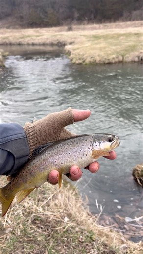 Wandering The Driftless Area Of Wisconsin & Iowa!