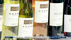 Wine from Chile’s Emiliana Vineyards