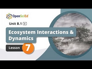 Unit B.1 Lesson 7 Planning Video | OpenSciEd On-Demand Resources