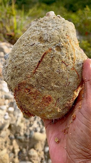 72K views · 697 reactions | Hunting for gemstones and unique stones at gold mining sites. #huntinggemstone #hunting #gemstone #uniquestones #goldmining#huntinggear #freedom #photography | The GemsHunter | Facebook