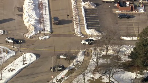 Woman found dead near shopping center, Schaumburg police say man in custody