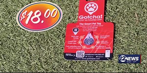 Does It Work? The Gotcha Tag