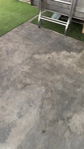 Original video | 1 Minute Craft