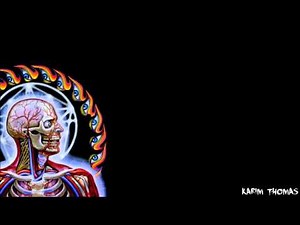 Tool - The Grudge (Instrumental Cover)