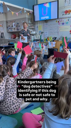 kids_n_k9s on Instagram: "I love hearing the teacher in the background as she’s holding my phone and videotaping . You can hear her approval of the questions. Kids often guess the “right“ answer of petting or not petting however they do not seem to understand reasons why. That is a very important part of why I do this presentation and why this cannot be something that I simply put into a videotape for teachers to use. The interaction is key. #dogsafety, #dogbodylanguage #learningaboutdogs #dogbi