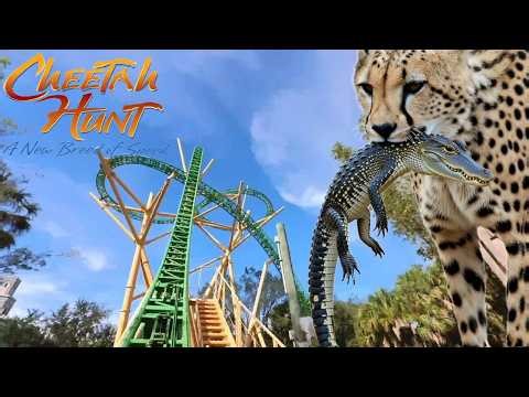 Cheetah Hunt Busch Gardens Tampa - Triple Launch Coaster Full Ride Front Row and Back Row