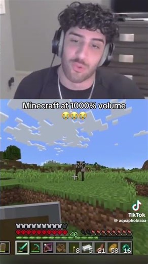 Minecraft max volume meme