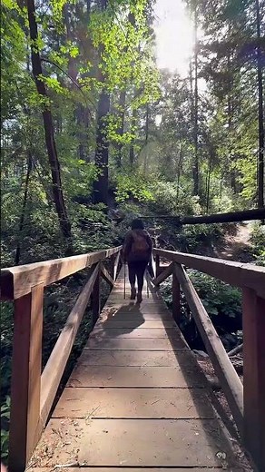 Bothe-Napa Valley State Park