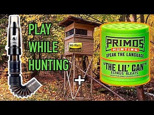 Sound Only: Young Buck Tending + High Pitched Estrus Doe Bleat (Play While Hunting)