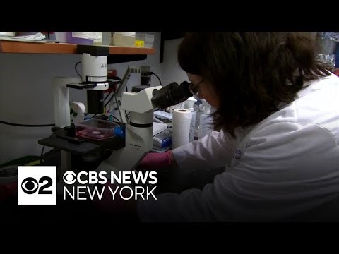 N.Y. budget proposal could roll back biomarker testing coverage, advocates say