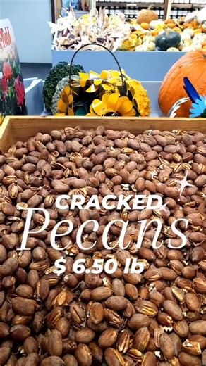 😃 We have cracked pecans $ 6.50 x lb❗️ 🌰 Enjoy your pecans. #pecans #piepecans #candypecans #GrowingForYouEveryday | Hardwick Farmer Market & Nursery