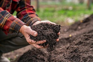 Home Composting (Troubleshooting & FAQs)