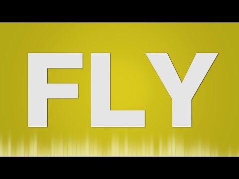 Fly SOUND EFFECT (2) - Fliege SOUND