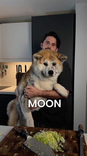 Kitchen tool ratings 1-10 But also Moon Or Rex?👇 | Cooking Guild