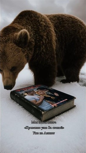 #книги #литнет #книжныерекомендации