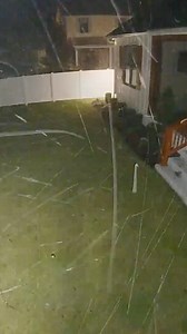 25K views · 186 reactions | Terrifying video shows a tree crashing into a Florida yard seconds after a woman and her dog went inside amid Hurricane Milton winds. | KOAT | Facebook