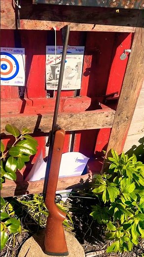 BSA Mercury MK2 air rifle