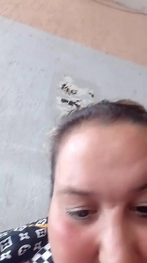 Vidéos de hassania (@hassania_1881) avec الصوت الأصلي - hassania