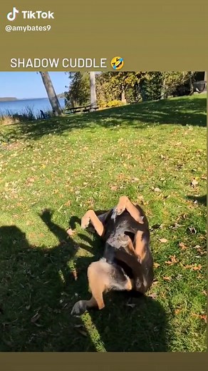 Amy Bates (@amybates9)’s videos with Need You Tonight - Inxs