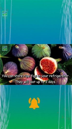 Never Buy Bad Figs Again! 🛑 Here's How #shorts