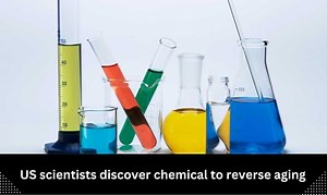 US scientists discover chemical to reverse aging – Lifeboat News: The Blog