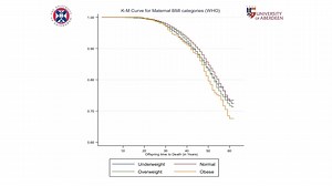 Maternal obesity during pregnancy and premature mortality from cardiovascular event in adult offspring: follow-up of 1 323 275 person years