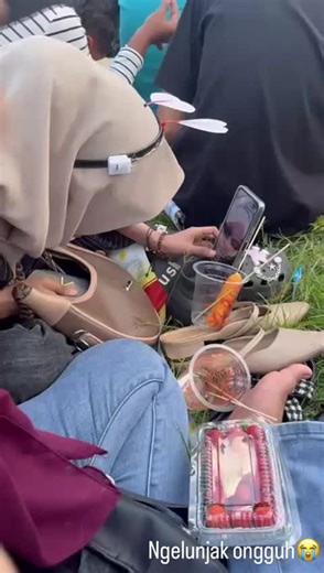 Understanding Yak Behavior and Communication