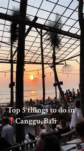 Top 5 Things to Do in Canggu, Bali - A Complete Travel Guide