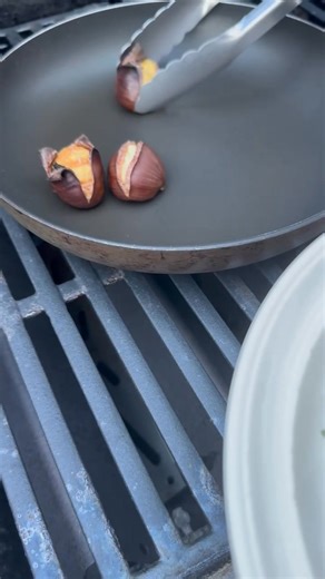 Trying to cook chestnut on the grill #fblifestyle | Eva Sciarappa