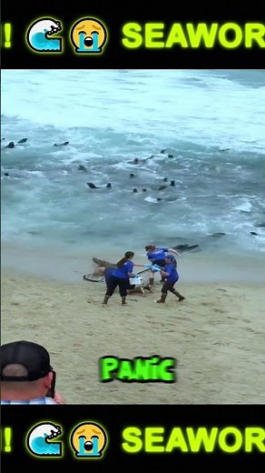 SeaWorld Rescue Team Saves A Trapped Sea Lion In Front Of A Huge Crowd! 😱😭🌊