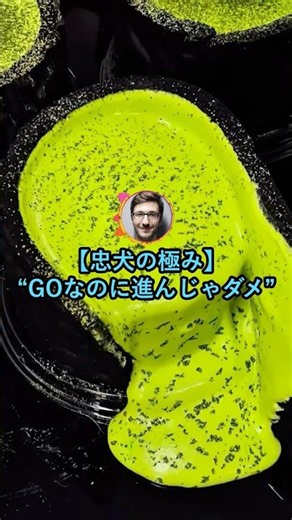 【忠犬の極み】GOなのに進んじゃダメ【2ch面白いスレ】