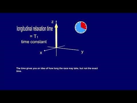 Longitudinal Relaxation | T1 Curve