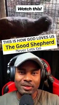 This Is How God Loves Us — The Good Shepherd Never Lets Go 🐑❤️