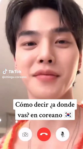 Chingu coreano on TikTok